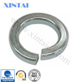 Coil Washer Spring for Made Stainless Steel Wire