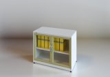 High Quality Glazed Swing Door Cabinet (SE-SWG)