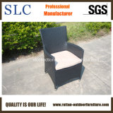 Leisure Chair / High Back Chair/Outdoor Garden Rattan Furniture (SC-B7015-1)