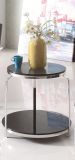Stainless Steel Glass Top Side End Coffee Table (CJ-162)