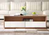 Modern Design TV Stand/Living Room Furniture