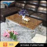 Home Furniture Stainless Steel Table Modern Coffee Table