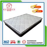 Competitive Price Euro Spring Mattress Made in China