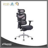 Jns 2016 New Design Competitive Price Ergonomic Office Chair