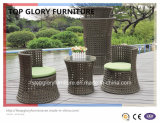 2PCS Popular Competitive Stacking Rattan Garden Vase Sofa Set (TGBS-004)