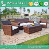 Patio Rattan Sofa Set with Teak Outdoor Wicker Sofa Set Modern Garden Sofa Set (Magic style)