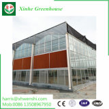 Polycarbonate Sheet, Aluminium Frame Garden Greenhouse