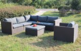 Garden Outdoor Rattan Wicker Sofa Set