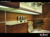 Simple Design Modern Lacquer Kitchen Cabinet