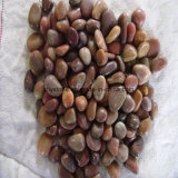 Nanjing Factory Red River Pebble Stone