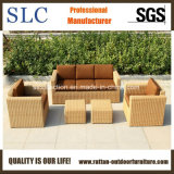 Rattan Sofa Furniture/Rattan Outdoor Sofa (SC-B9508-H)