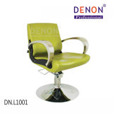 Beauty Salon Chairs Barber Chair for Sale Cheap (DN. L1001)