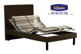 Home Furniture American Bedroom Furniture Popular European Style Birch Wood Slat Adjustable Bed