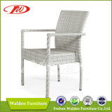 Living room furniture popular rattan chair(DH-3017)