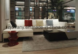 Modern Style Home Sofa Furniture Living Room Leather Sofa (D-71-G+K)
