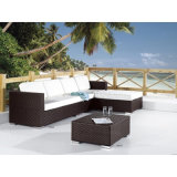Outdoor Furniture Rattan Sofa Set (WS-06025)