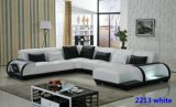 Modern Sofa Design in Home Living Room Sectional Sofa Set