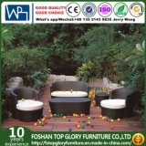Garden Patio Furniture Round Rattan Sofa (TG-JW19)