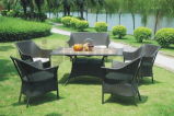Wicker Furniture /Garden Outdoor Furniture (BG-002)