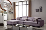 Brazil Living Room Fabric Sofa (B1051)