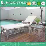 New Design Sunlounger Beach Daybed Wicker Lounger Beach Seater Leisure Lounge (Magic Style)