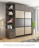Modern Style of Wardrobe with High Quality (WD-1232)