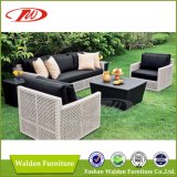 Wicker Outdoor Furniture, Outdoor Furniture, Rattan Sofa (DH-9709)