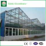Polycarbonate Sheet/Plastic/Glass Green House for Vegetables/Garden