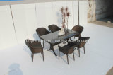 Dining Set New Design Patio Wicker Furniture/Garden Outddor Furniture (BP-3038)
