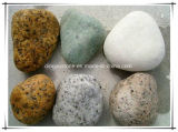 Supply Large Size Pebble Stone for Garden Decoration