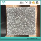 G664 Bainbrook Brown Granite Stone Tile for Floor