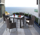 Garden/Patio Wicker Furniture Sets for Outdoor Furniture (LN-930F)