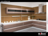 Modern Silver MDF Lacquer Kitchen Cabinet
