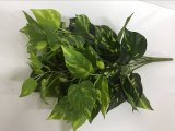 PE Variegated Philodendron Leaf Artificial Plant for Home Decoration (50038)