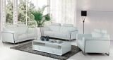 New Italian Modern Leather Sofa (SBL-9162)