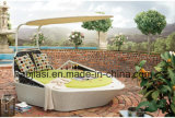 Outdoor /Rattan / Garden / Patio Furniture Rattan Lounge Chair with Tent (HS 1707CL)