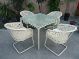 Outdoor White Rattan Dining Set Wicker Furniture (DS-06046)