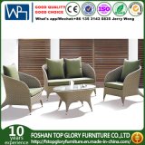 Polyrattan Outdoor Furniture Sofa Set for Rattan Furniture (TG-1310)