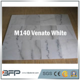 Elegant White Marble Stone for Tiles/Wall Cladding/Vanity Top