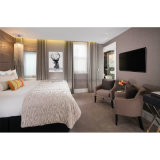 Modern Design King Size Single Bed Furniture Bedroom (S-28)
