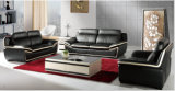 Modern Leather Sofa with Genuine Leather Sofa