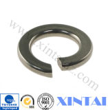 DIN125 DIN127 Black / HDG / Stainless Steel 304 Flat Washer/Spring Washer