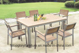 Garden/Patio Dining Table and Chairs for Outdoor Furniture (TG-021)
