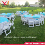 Resin/Plastic Folding Chair for Garden/Outdoor/Beach/Wedding/Tent/Hotel/Restaurant/Banquet