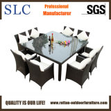 Wicker Dining Furniture/ Wicker Dining Furniture (SC-A7270)