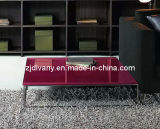 European Style Living Room Glass Coffee Table (NW-L0102)