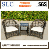 Aluminum Frame Synthetic Wicker Outdoor Furniture (SC-B8955)