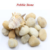 Natural Pebble Stone for Paving