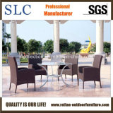 Wicker Table Set / Dining Table and Chair (SC-B1009)