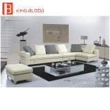Sectional Sofas Furniture White Leather Sofa